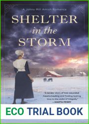 Shelter in the Storm (Johns Mill Amish Romance #1)