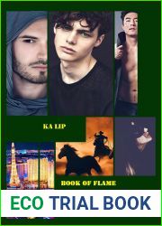Stars are reflected in your eyes. Book of Flame. Volume 4
