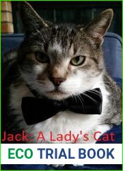 Jack