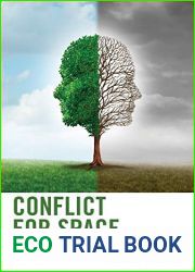 Conflict for Space: A Focus on Identity Duality