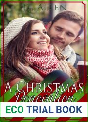 A Christmas Renovation (Small Town Christmas Book 8)