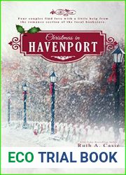 Christmas in Havenport (A Havenport Romance Novella Boxed Set Book 1)