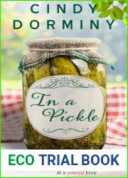 In a Pickle (Small Town Trouble #2)