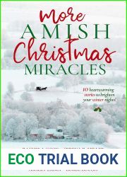 More Amish Christmas Miracles: 10 Heartwarming Stories to Brighten Your Winter Nights (Amish Christmas Miracles Collection)