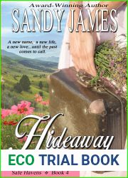 Hideaway (Safe Havens Book 4)