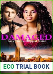 Damaged: BWWM Romantic Suspense