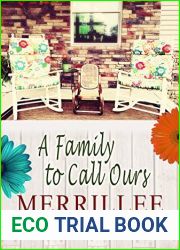 A Family to Call Ours (Front Porch Promises #4)