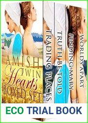 Amish Twin Hearts Boxed Set (Amish Twin Hearts #1-4)