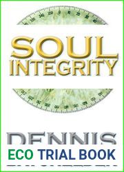 Soul Integrity: A Soul Identity Novel