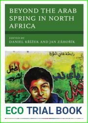 Beyond the Arab Spring in North Africa