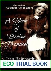 A Year of Broken Promises (An Irish Family Saga, #2)