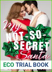 My Not-So-Secret Santa: (Hot Under the Mistletoe, #3)