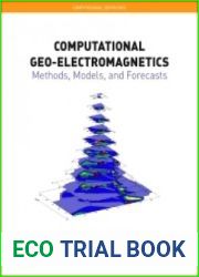 Computational Geo-Electromagnetics