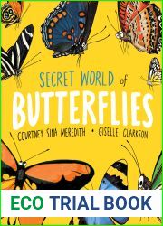Secret World of Butterflies