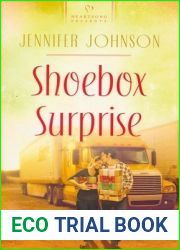 Shoebox Surprise