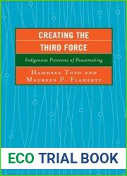 Creating the Third Force: Indigenous Processes of Peacemaking (Peace and Conflict Studies)
