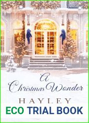 A Christmas Wonder (An Island Christmas Series Book 2)
