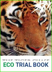 The Tiger Chase: 2019