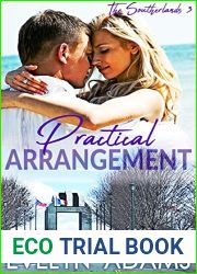 Practical Arrangement (The Southerlands, #3)