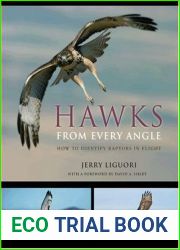 Hawks from Every Angle: How to Identify Raptors In Flight