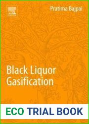 Black Liquor Gasification