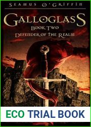 Galloglass Book Two:: Defender of the Realm