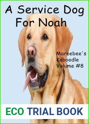 A Service Dog for Noah (Mareebee|s Kaboodle Book 8)
