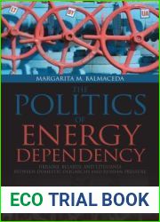 Politics of Energy Dependency: Ukraine, Belarus, and Lithuania between Domestic Oligarchs and Russian Pressure (Studies in Comparative Political Economy and Public Policy)