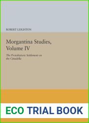 Morgantina Studies, Volume IV