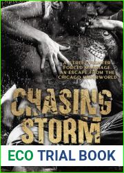 Chasing Storm: A Dark Chicago Underworld Romantic Suspense (Storm Duet 2) (A Dark Chicago Underworld Romantic Suspense (Storm Duet))
