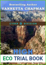 High Noon (Cyber Division #4)