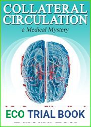 Collateral Circulation (Dr. Danny Tilson #3)