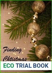 Finding Christmas