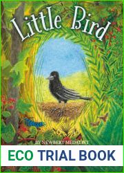 Little Bird
