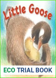 Little Goose