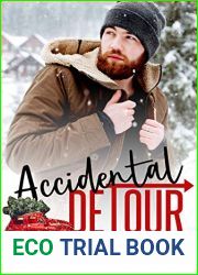 Accidental Detour