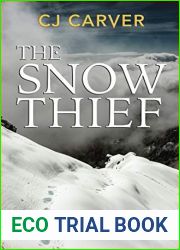 The Snow Thief