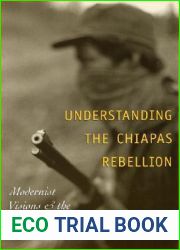 Understanding the Chiapas Rebellion: Modernist Visions and the Invisible Indian
