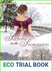 Secrets in the Snowstorm