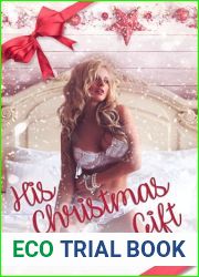 His Christmas Gift: Age gap, billionaire, workplace romance