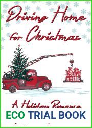 Driving Home for Christmas: A Holiday Romance
