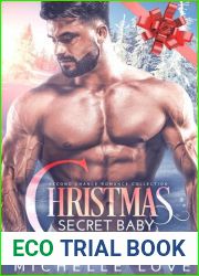 Christmas Secret Baby
