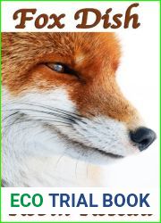 Fox Dish (The Madison Wolves, #6)
