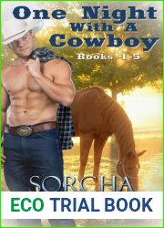 One Night With a Cowboy : Books 1-5