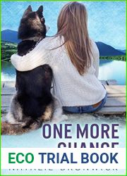 One More Chance