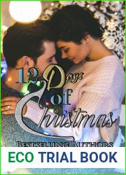 12 Days Of Christmas