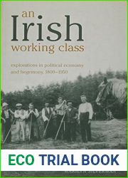 An Irish Working Class: Explorations in Political Economy and Hegemony, 1800-1950 (Anthropological Horizons)