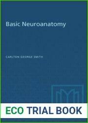 Basic neuroanatomy