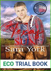 Texas Sun (Texas Soul #7)