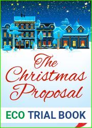 The Christmas Proposal